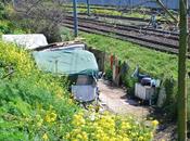 Cilicia. L'accampamento affaccia treno, alla bella vista tutti coloro arrivano Fiumicino