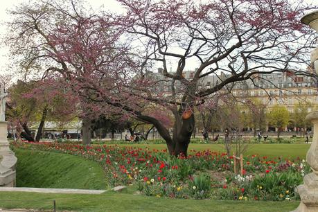 Jardin des Tuileries