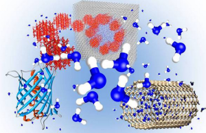 Nanopori, nanotubi, proteine e nanoparticelle rappresentano le superfici solide con cui l'acqua può confinare nel nanomondo (da ansa.it con fonte Politecnico di Torino)