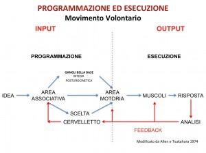 Schema motorio