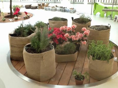 Le educatrici creative