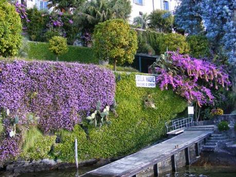 Il re dei giardinieri e il gigante salvato dell'Isola Madre