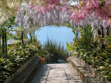 Il re dei giardinieri e il gigante salvato dell'Isola Madre