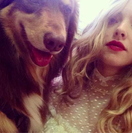 themusik i selfie vip celebrity cani dog amici amanda seyfried Top 10 i selfie dei vip con i loro amici cani