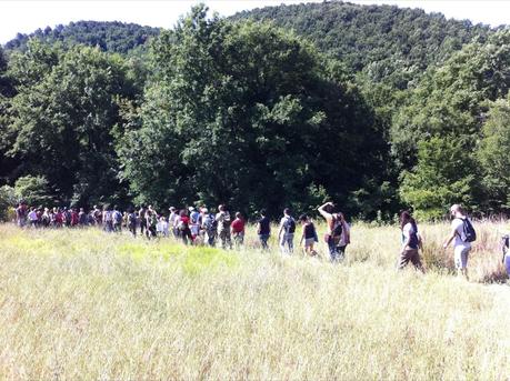 Escursione naturalistica gratuita / Free naturalistic excursion in Tuscany