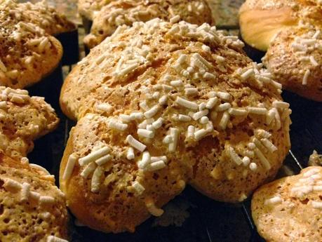 La colomba di Pasqua con pasta madre (ma se siamo ancora in carnevale!?!)