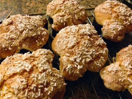 La colomba di Pasqua con pasta madre (ma se siamo ancora in carnevale!?!)