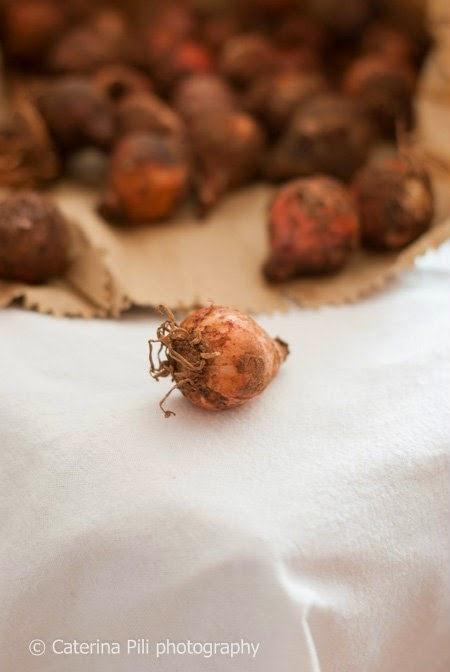 Lampascioni con uova e pomodori