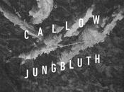 CALLOW JUNGBLUTH, Split