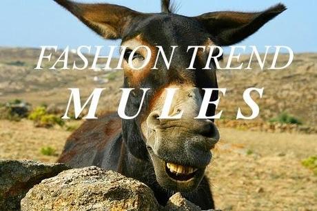 Houston, abbiamo un problema: Mules Trend.