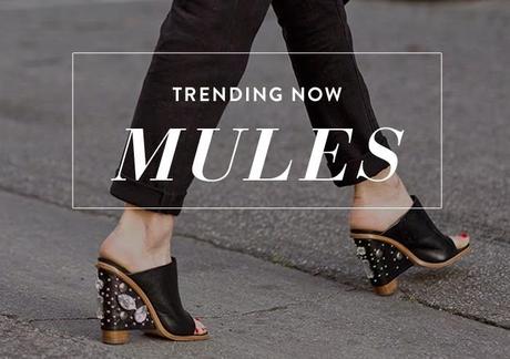 Houston, abbiamo un problema: Mules Trend.