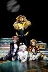 Cats musical milano_arcimboldi_2