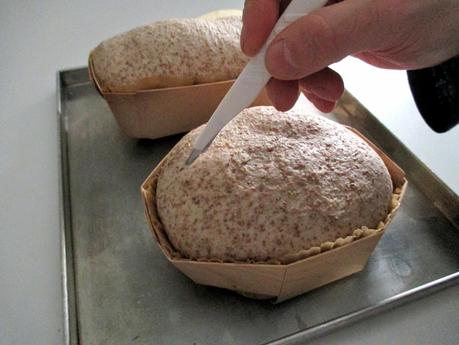 Pane Integrale con pasta madre