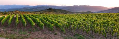 Frescobaldi winery excellence! Vinitaly 2014