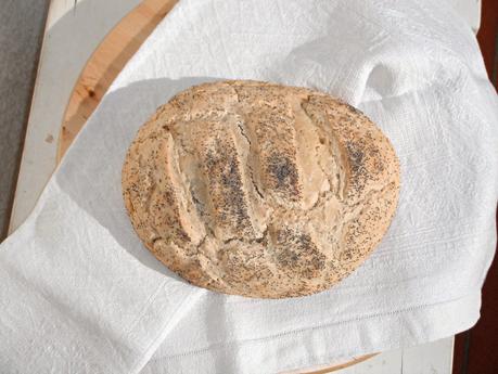 Pane a tutto riso con semi di papavero