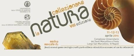 collezionare la natura