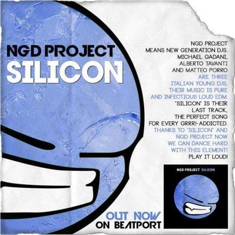 NGD Project -  Silicon  (GRRR!)