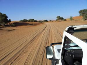 NAMIBIA 521893_3762483320602_1674381703_n