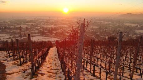 Sposarsi d'inverno in un Castello fra paesaggi suggestivi, servizi di alta qualità e vini di pregio