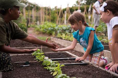 Le mostremercato_di giardinaggio fanno Rete