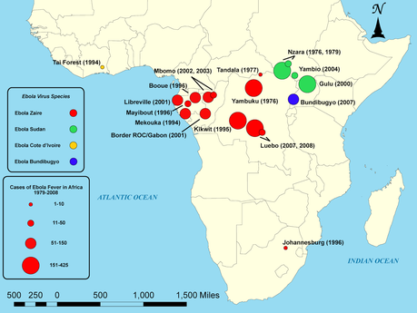 Ebola spaventa oltre l'Africa