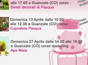 Corsi Cake design aprile maggio: torte decorate, cupcakes, biscotti modelling