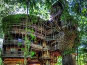 casa sull'albero grande mondo Tennessee