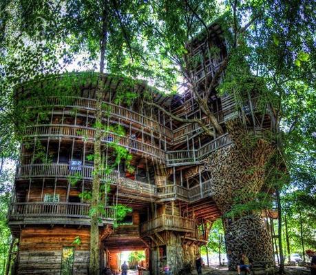 La casa sull'albero più grande del mondo è in Tennessee