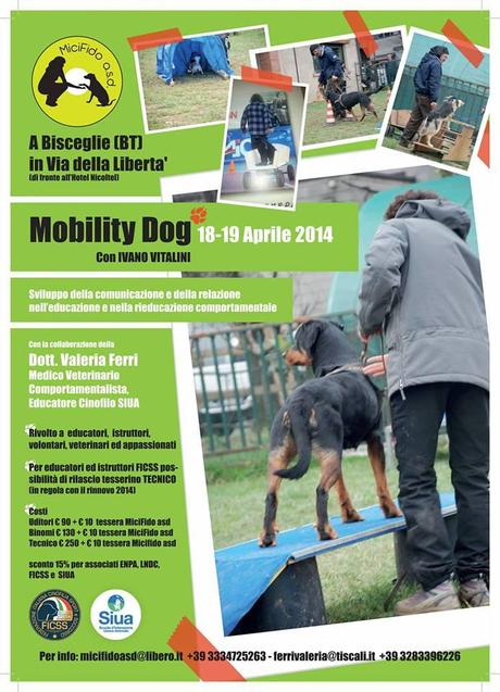 Corso di Mobility Dog a Bisceglie - 18 e 19 Aprile