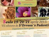 Sabato domenica Aprile 2014 “S’orrosa padenti” Seulo