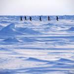 La Maratona del Polo Nord 42 km a - 30 gradi04