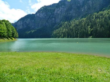 Confini, antiche vie, vecchi e nuovi abitanti delle terre alte: SuperAlp7!