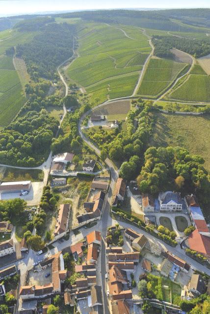 Cuore di Champagne - Vita idilliaca tra le colline dei vigneti di Francia. Un esempio da imitare in Italia