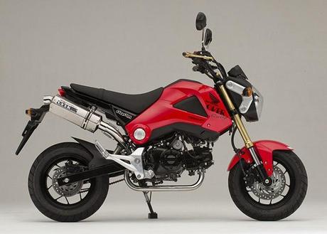 Honda Grom by Over