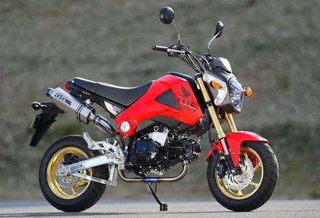 Honda Grom by Over