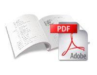 pdf_ico-libro