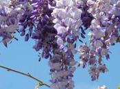 Cecità /Spazio Poesia