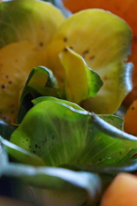 Insalata di Radicchio, Pere e Arance con Polletto allo Spiedo e Marmellata di Petali di Rose