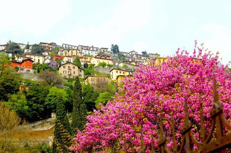 Alla scoperta del Lago di Como in primavera