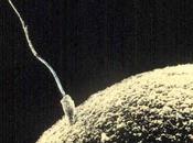 Fecondazione eterologo-omologa, matrimonio gay, divorzio breve: riflessioni considerazioni