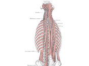 Postura profondo allungamento piedi divaricati