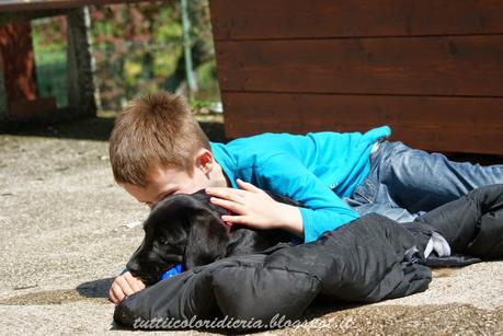 Foto della domenica (2a aprile 2014)