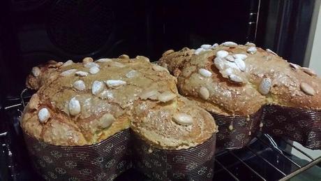 La colomba di Pasqua con li.co.li appena cotta 