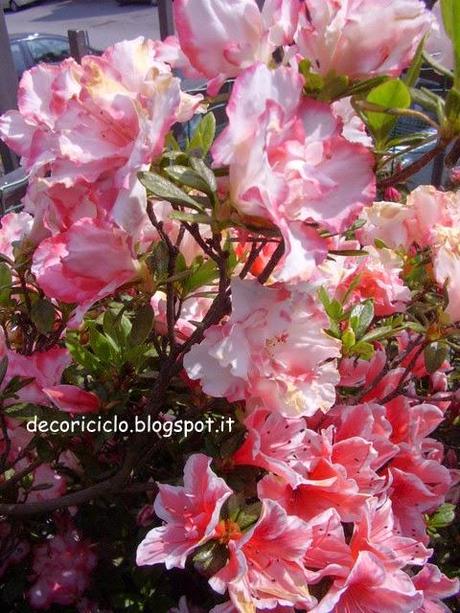 Fiori per Giada&Giulia