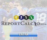 Report Calcio 2014