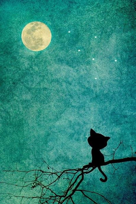 Il Postafortuna #114