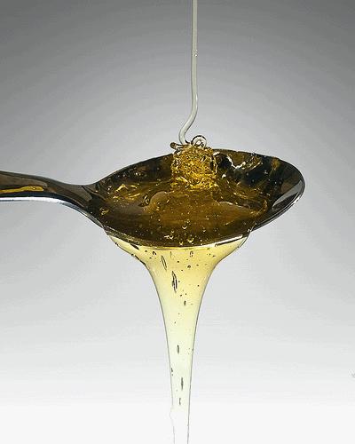 Il Miele e i suoi benefici Il Miele e i suoi benefici