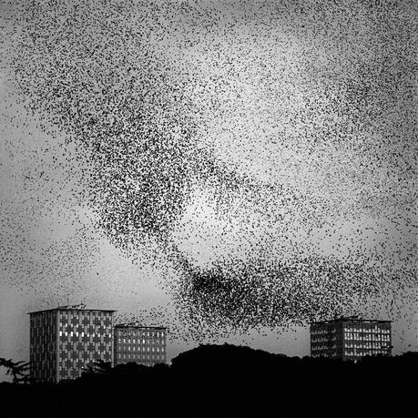 I Ching per Sole1 - Percorsi di Apprendimento - 61>54, 18.2 , 53.6