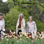 Pensionärer i Rosendals trädgård, Djurgården, Stockholm.