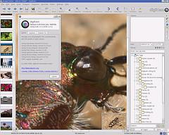 0.10.0-imageeditor04